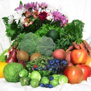 Community Supported Agriculture (CSA’s)