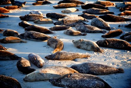 Photo of the Month: January